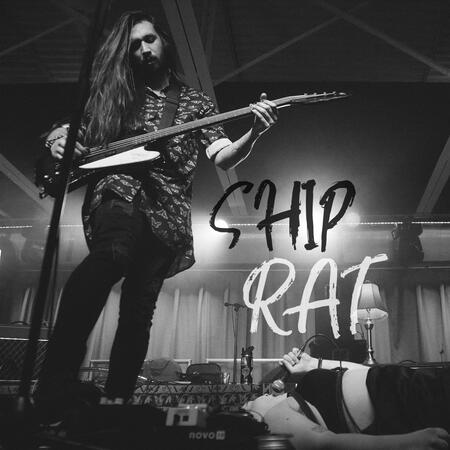Ship Rat
