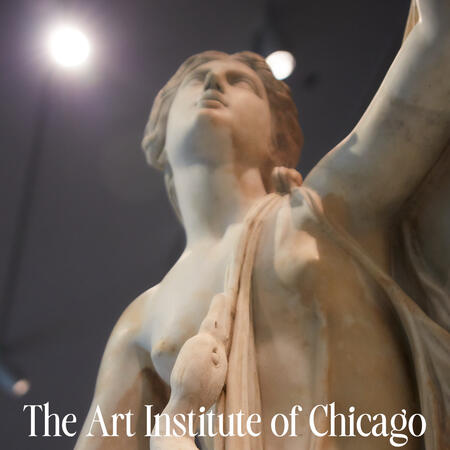 The Art Institute of Chicago (2024) The Art Institute of Chicago (2024)