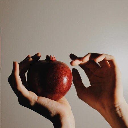 Untitled Untitled